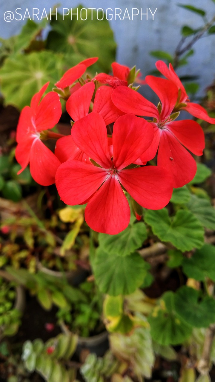 My Photography