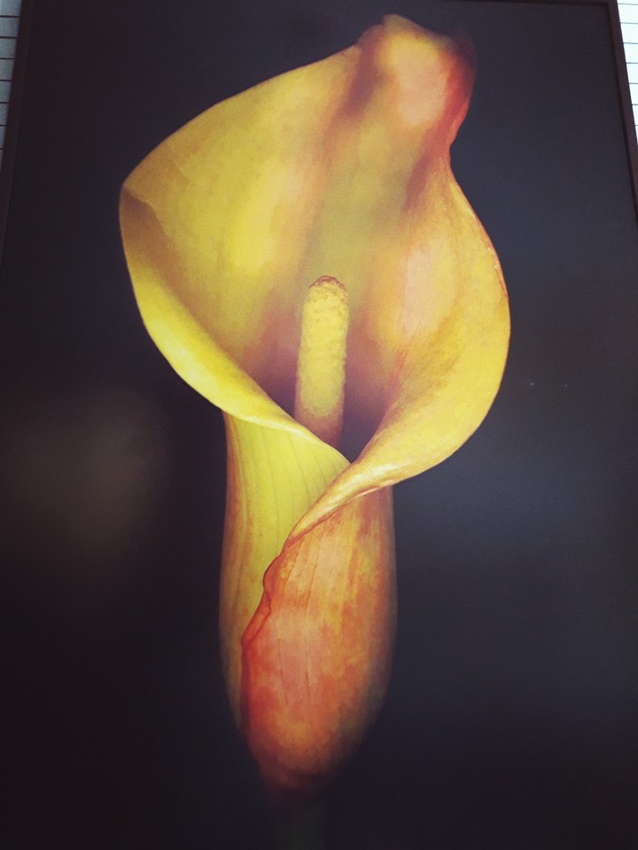 decoration flower