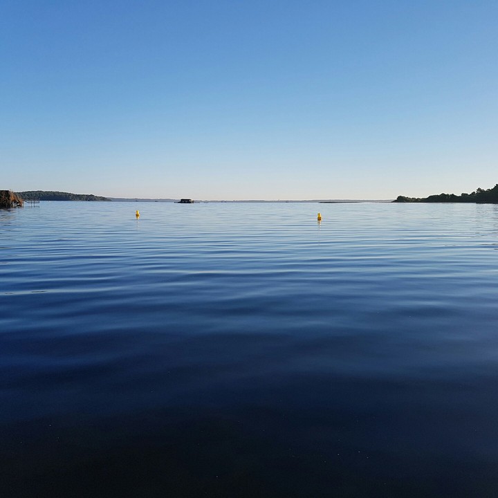 Matin calme, départ pour une partie de pêche.