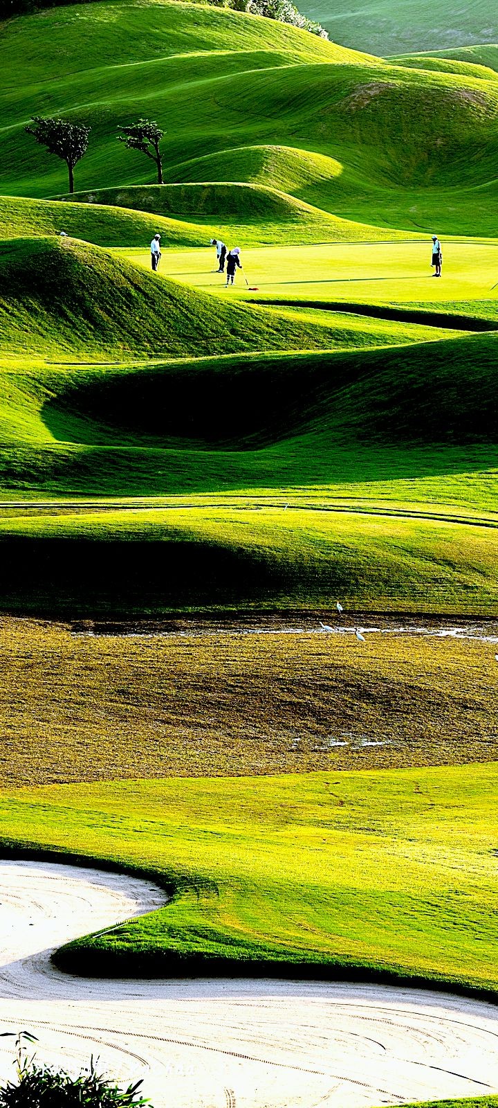 # Landscapes