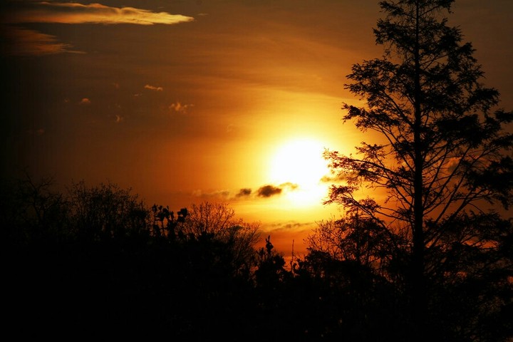 good morning