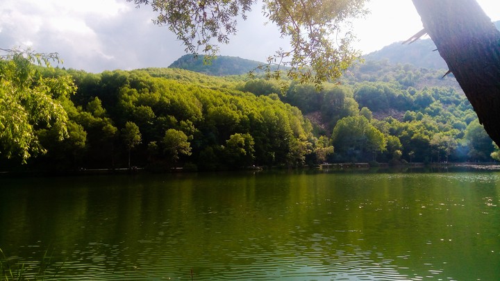 Doğa