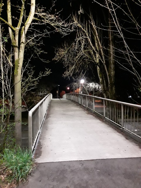 Night Scene