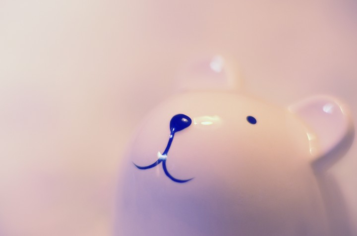 곰