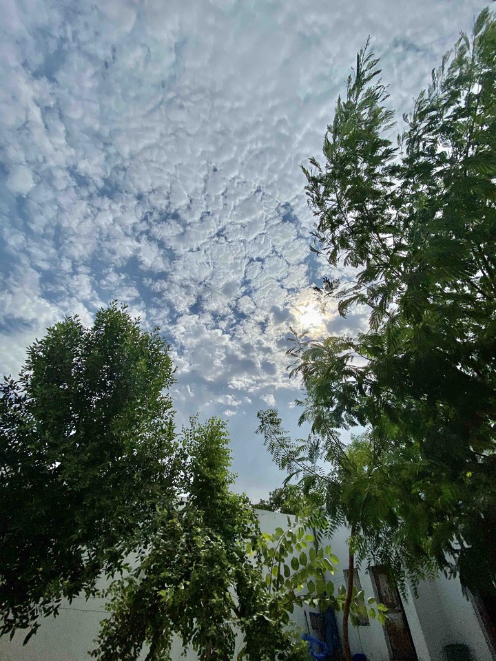 wheather