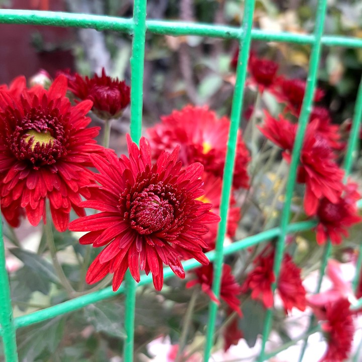 Click By Me
