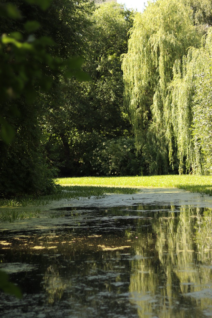 #green