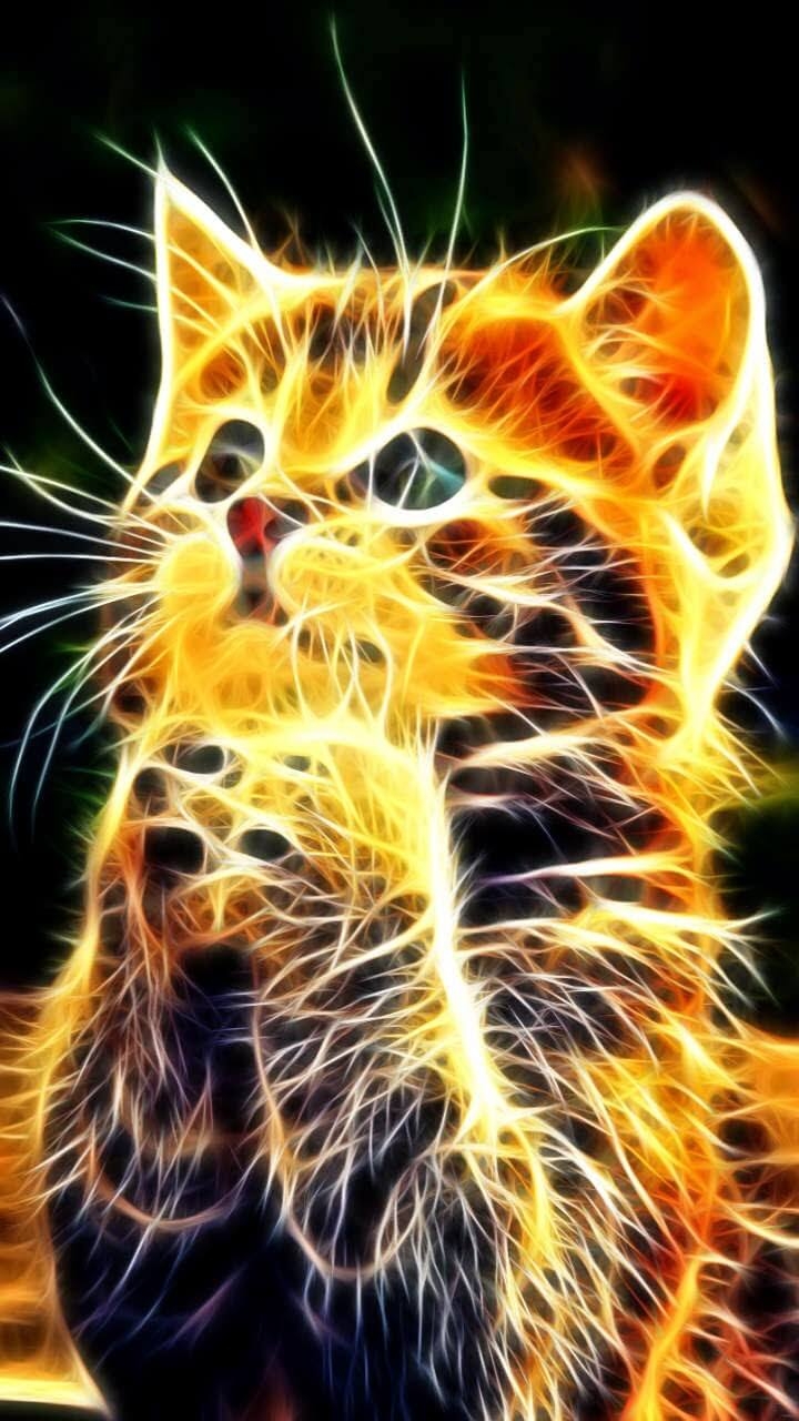 cat