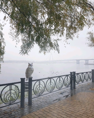 Foggy morning.