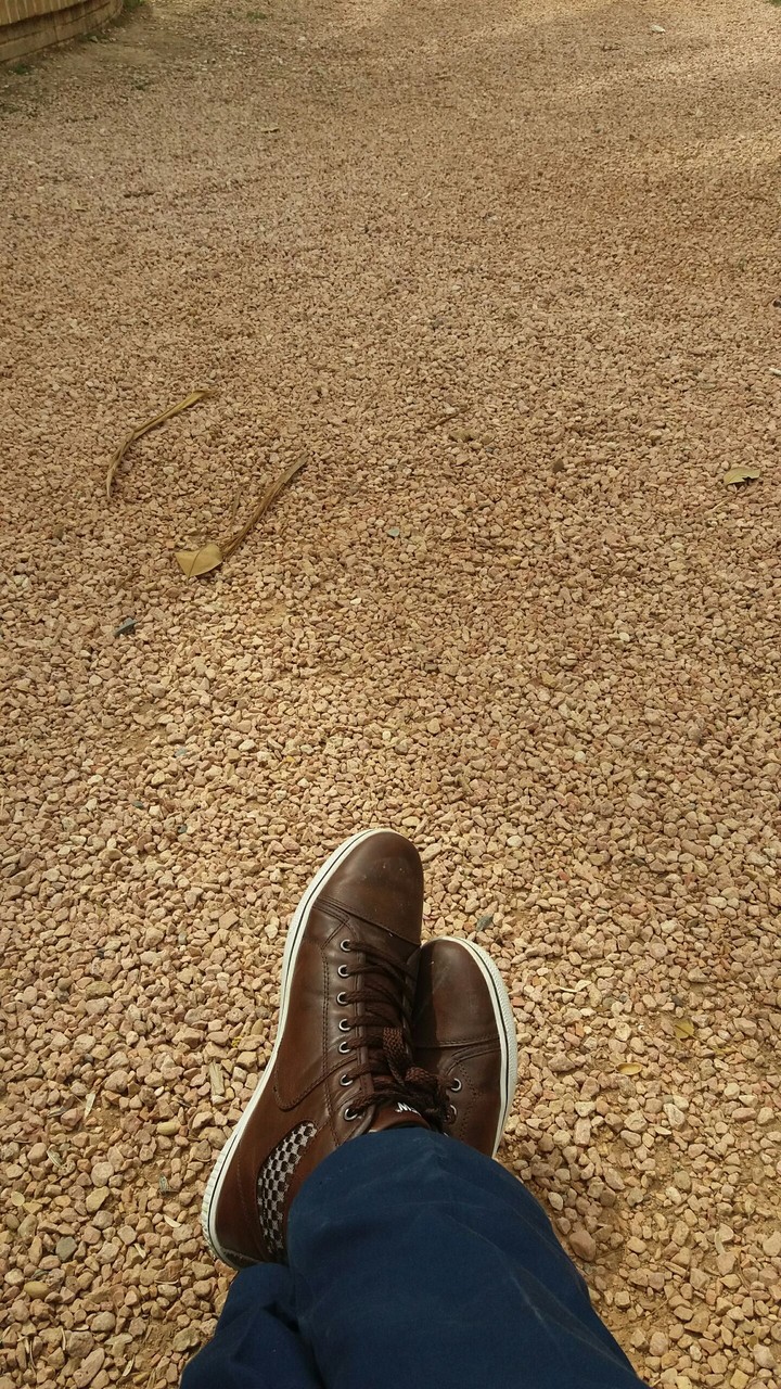 Brown Day
