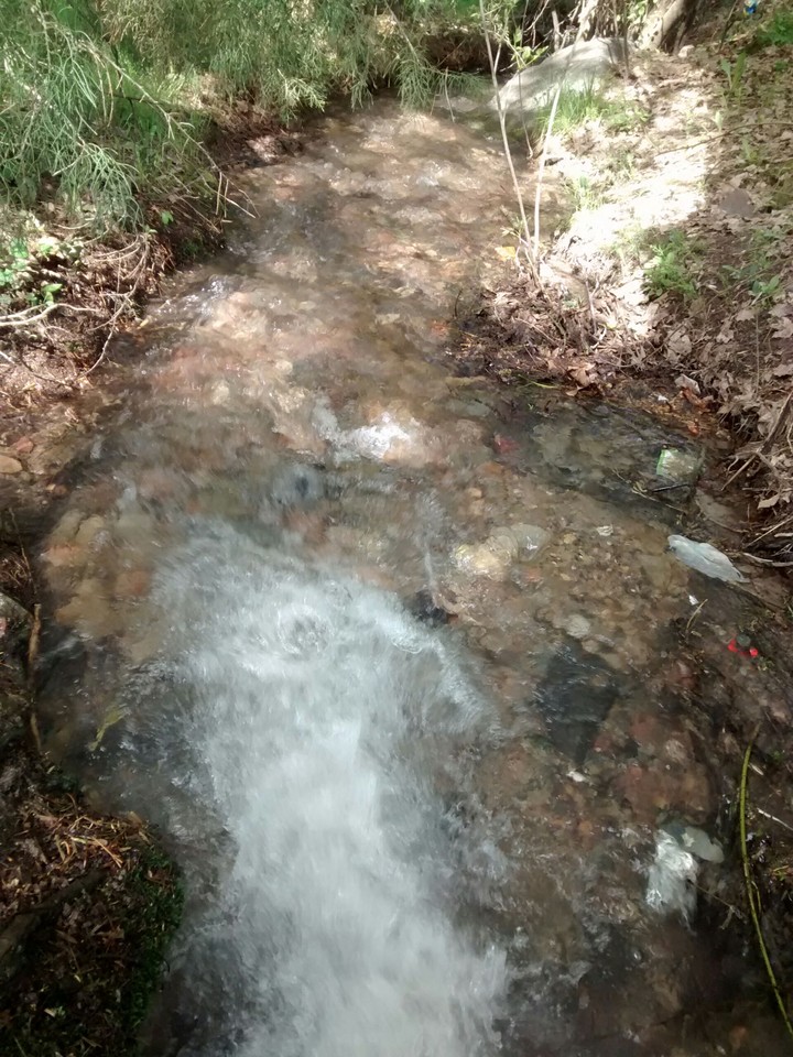 stream
