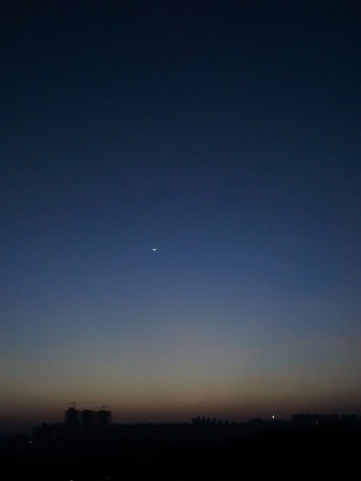 Early Morning