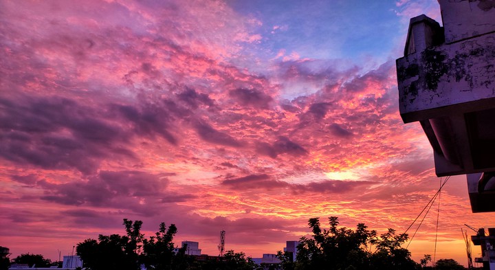 The sky is pink ?