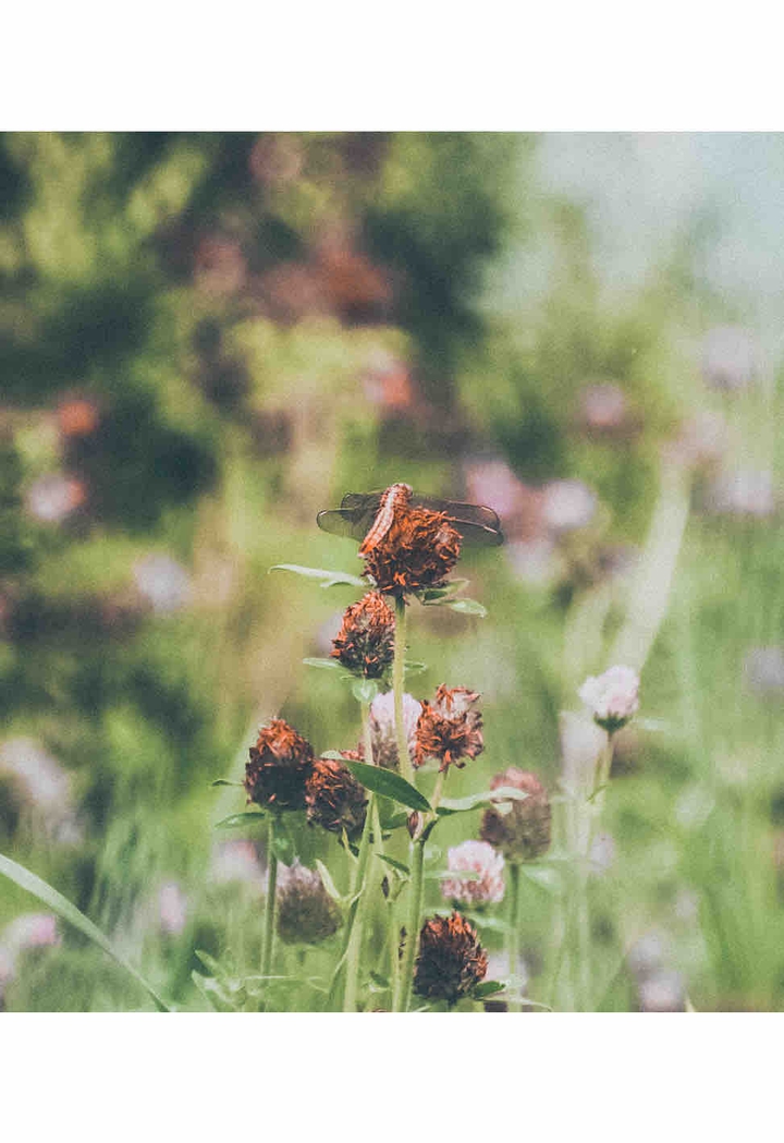 길