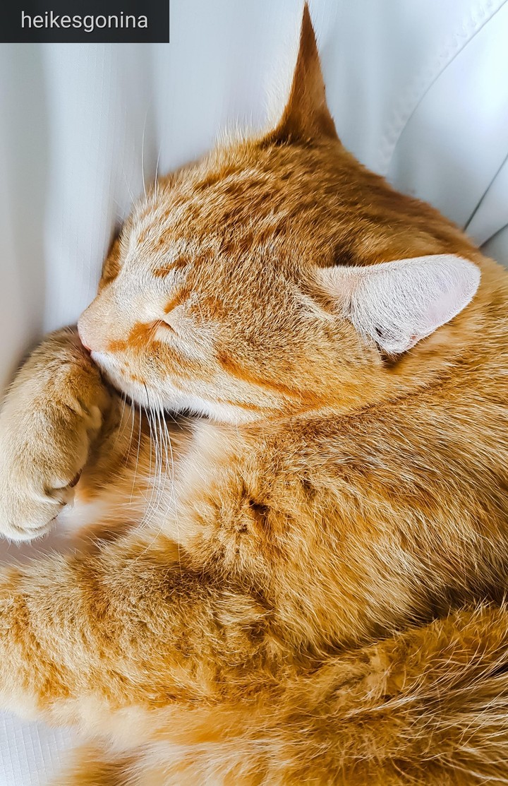 Sleeptime