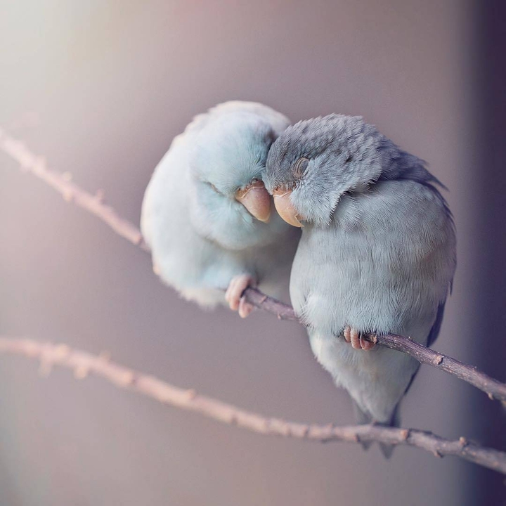 ♡