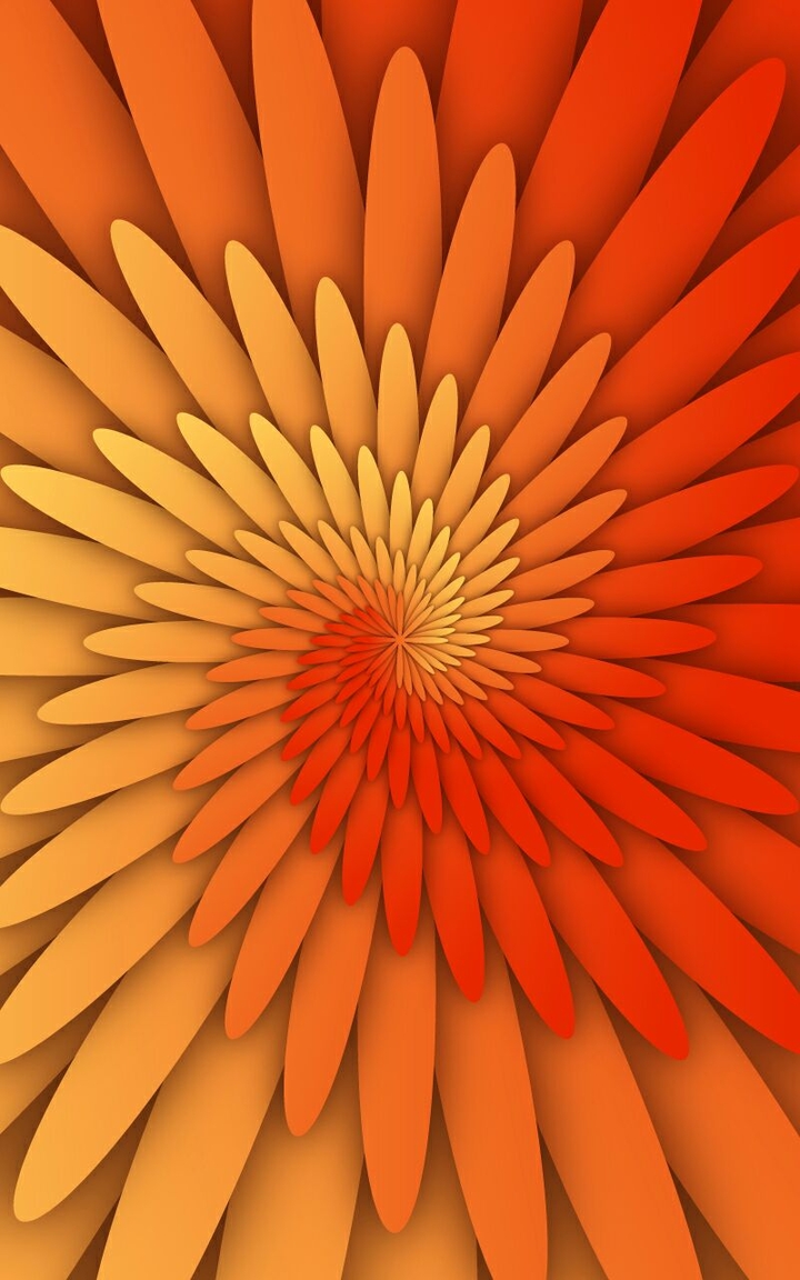Bird of Fire