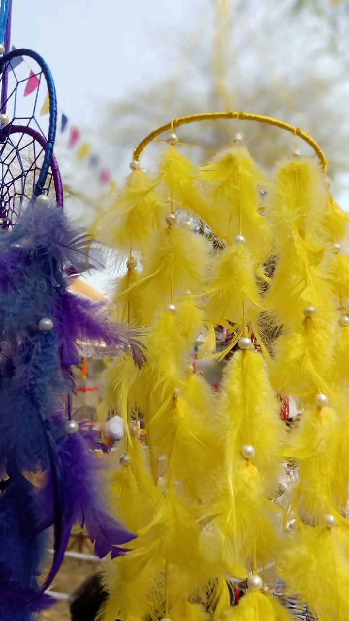 feather