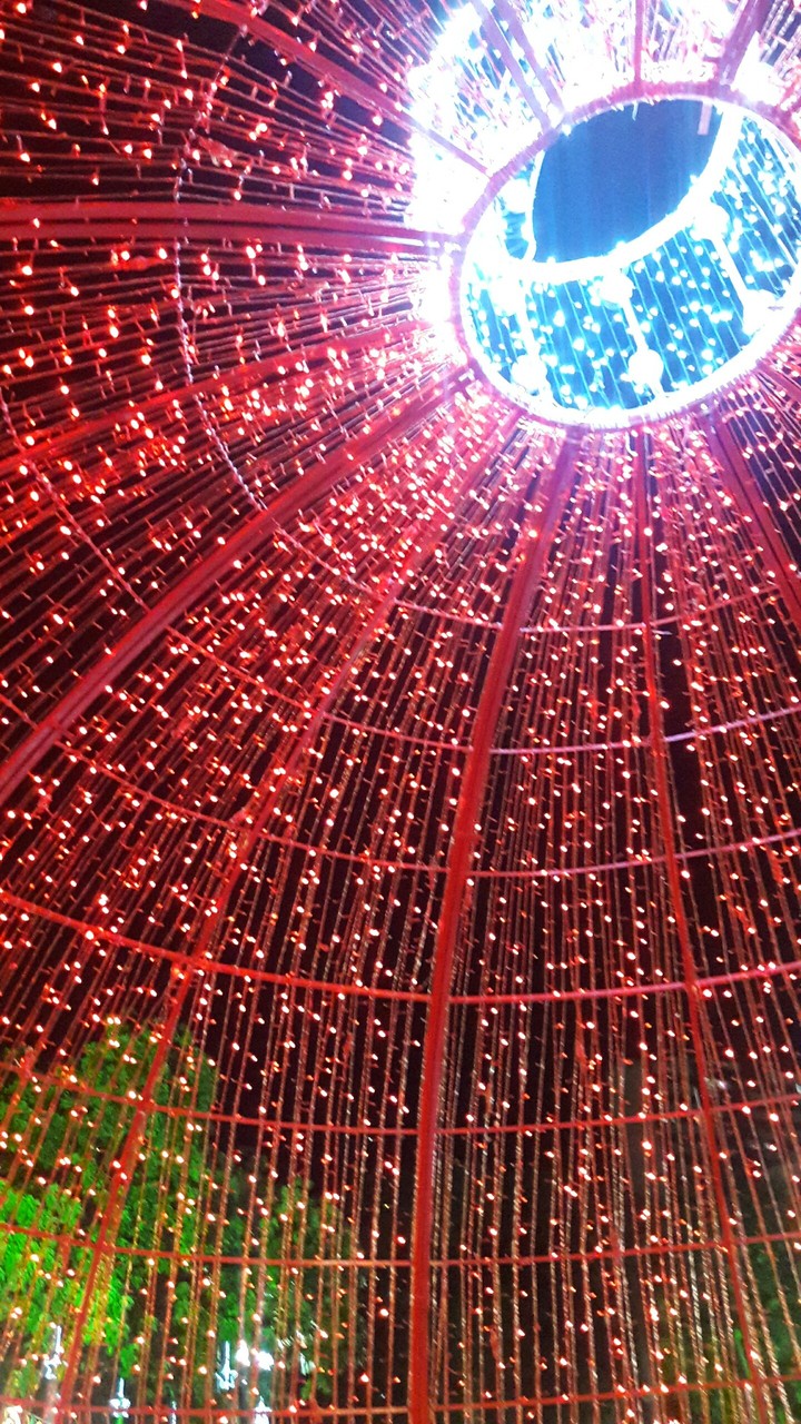 Red Lights