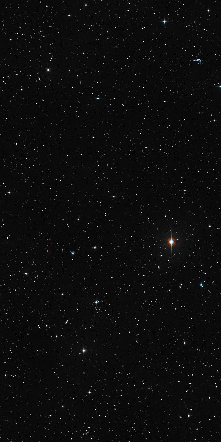 stars