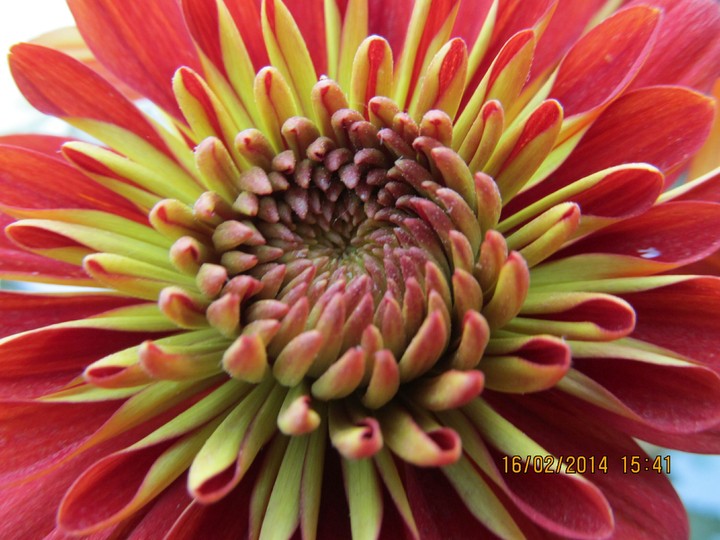 red and green