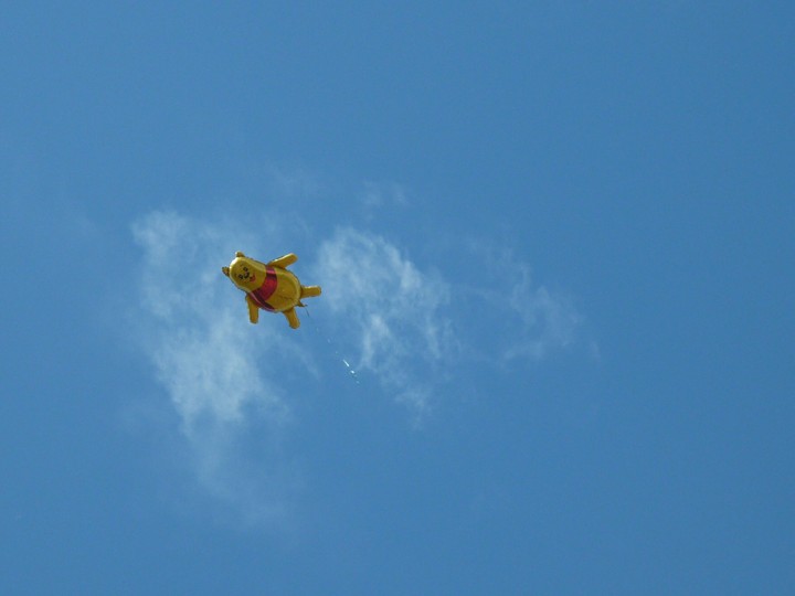 Air Bear