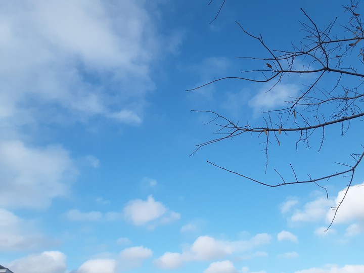 Cold Winter Evening Sky ❄