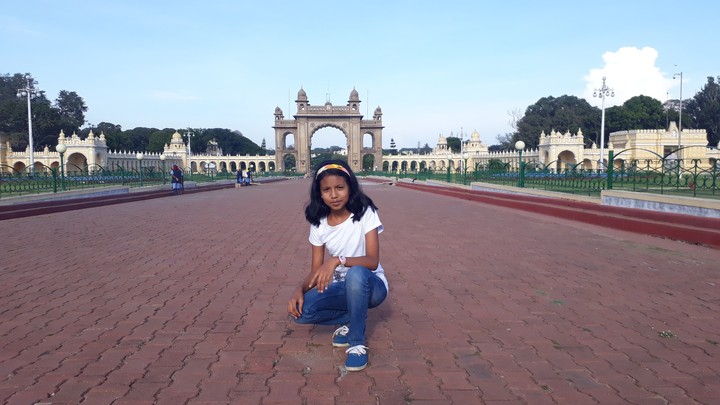 Palace View