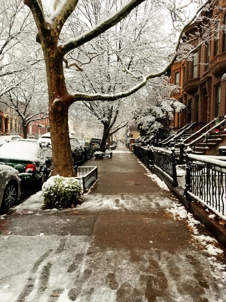 Snow on the Streets of Brooklyn