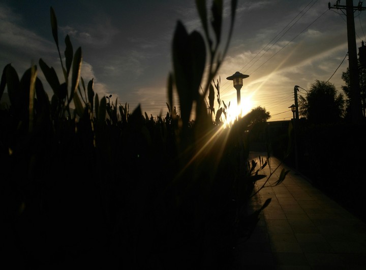 sunset