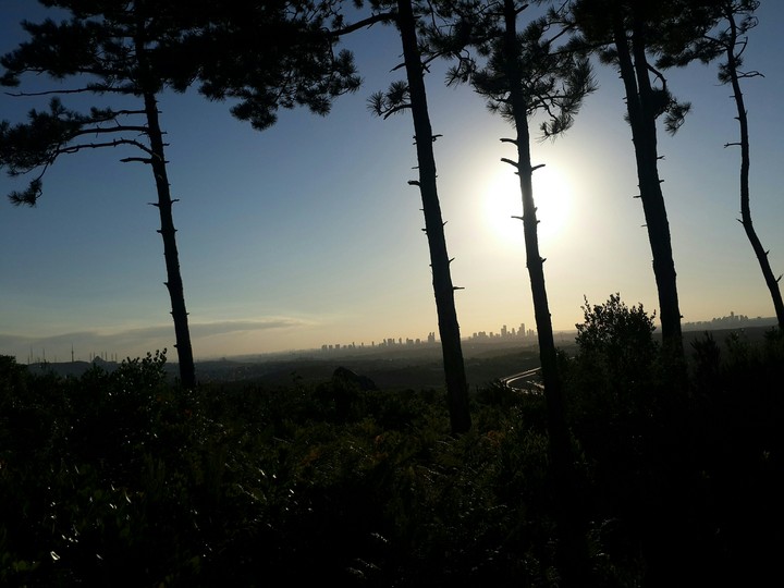 Nature and City