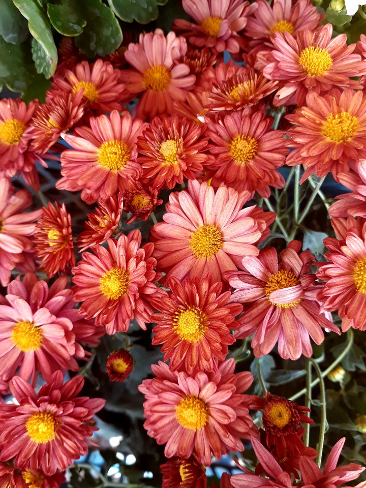 ❤