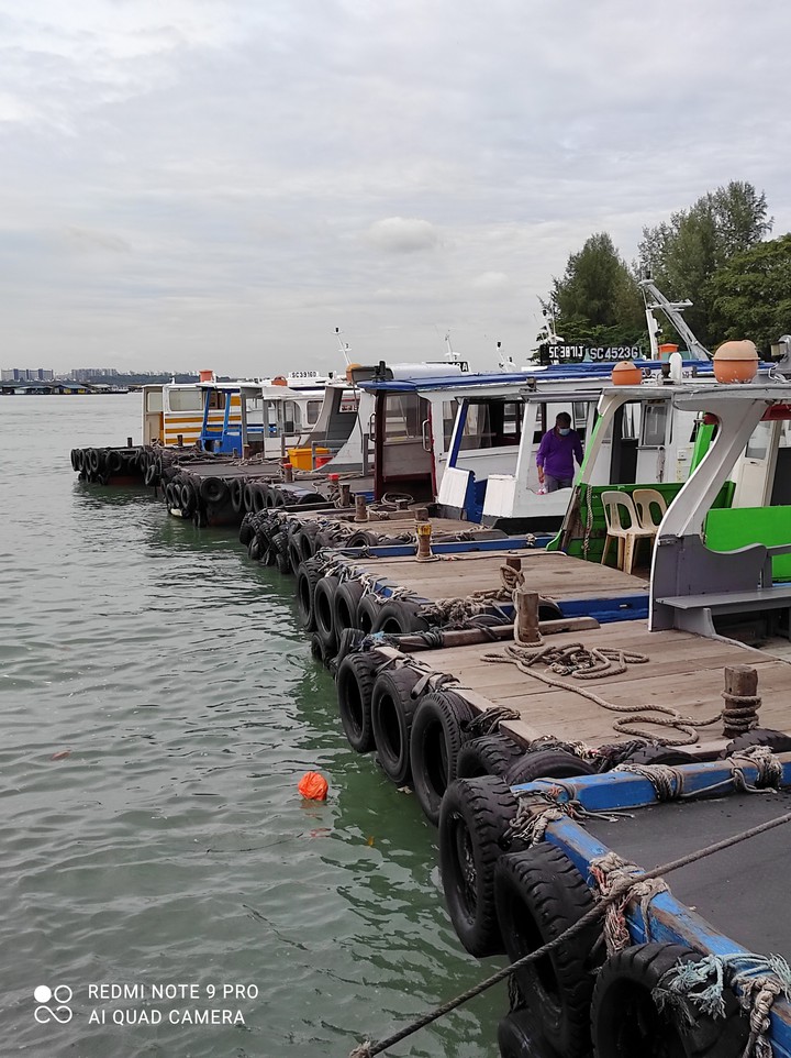 Bumper Boats
