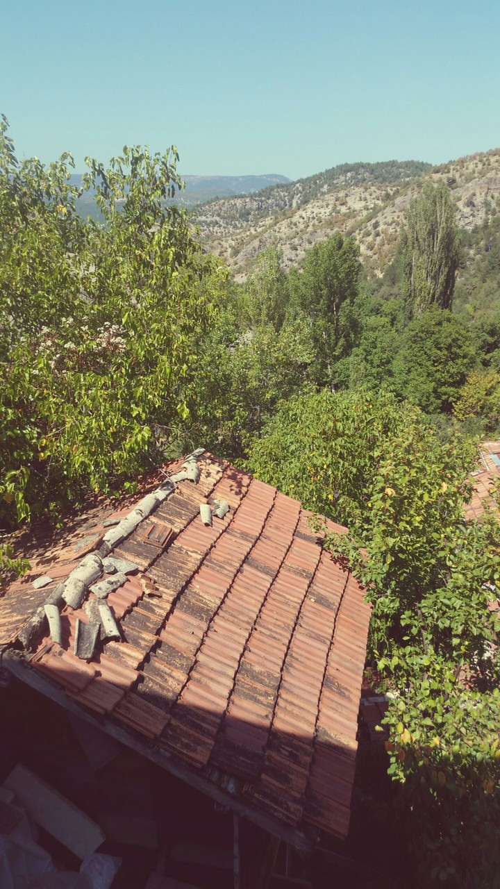 another view