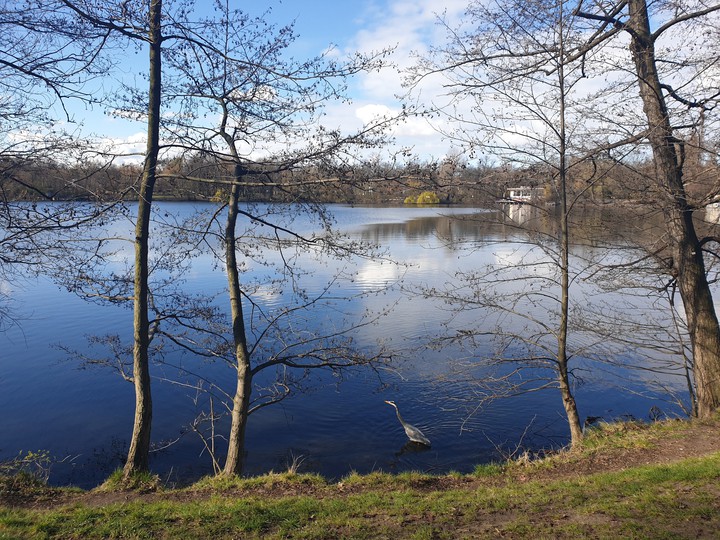 Frühling