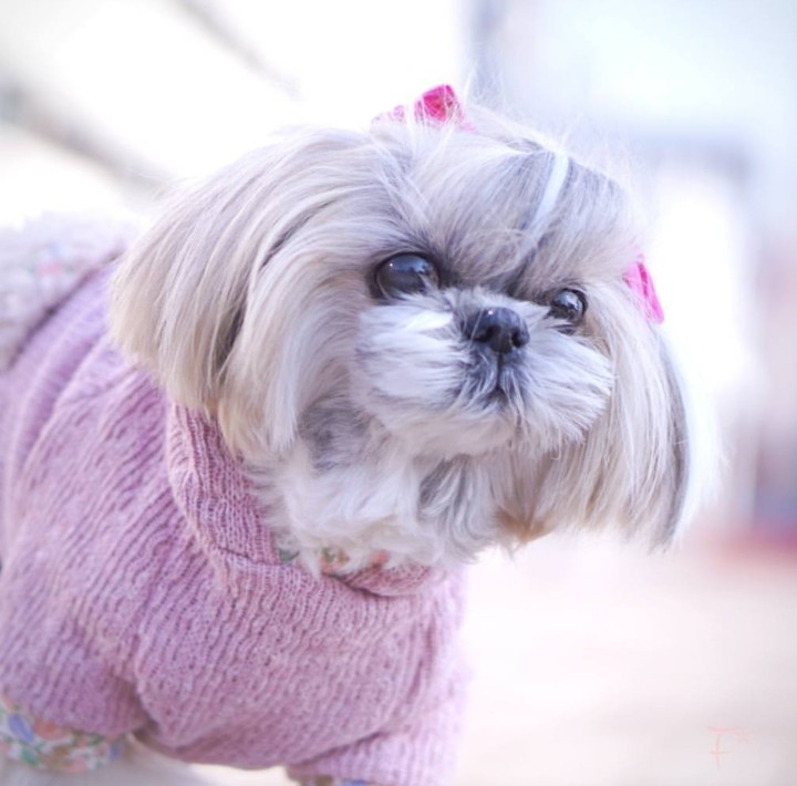 cute