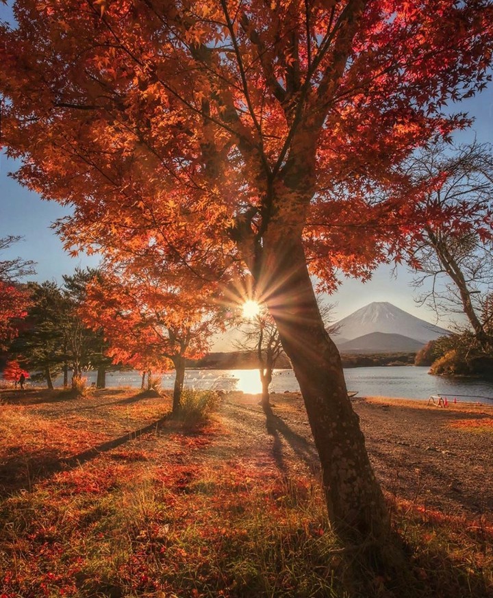 fall