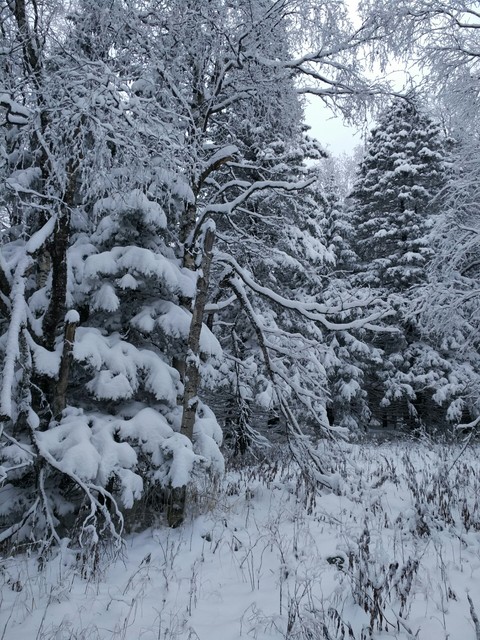 Winter. Icil. Ural