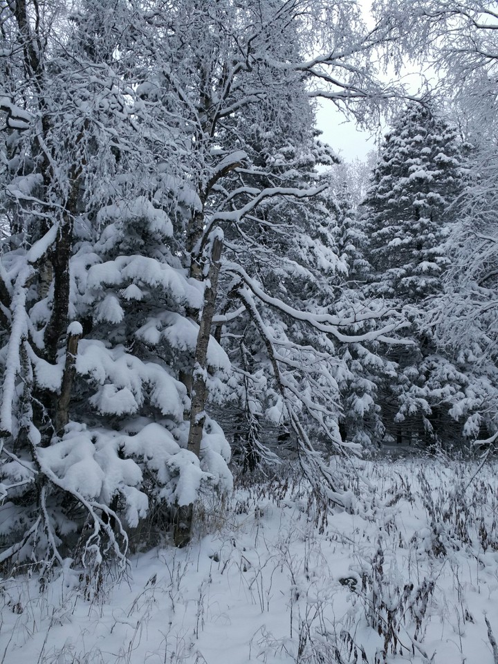 Winter. Icil. Ural