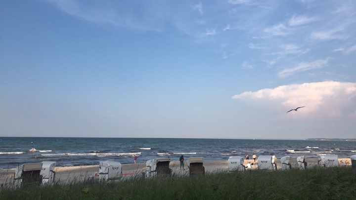 perfect day