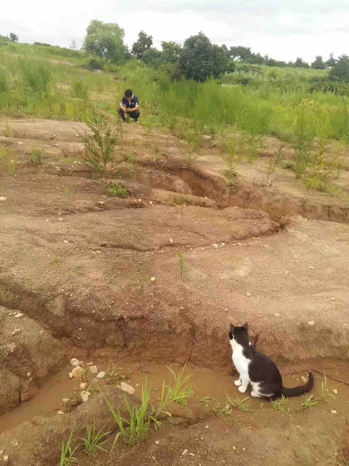 ?