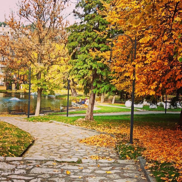 razlog Bulgaria