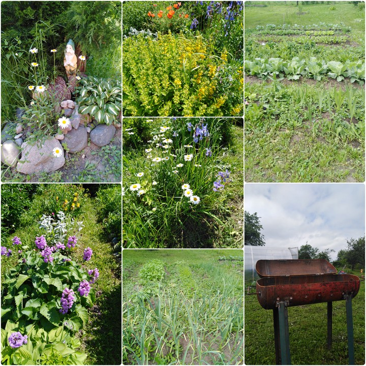 garden