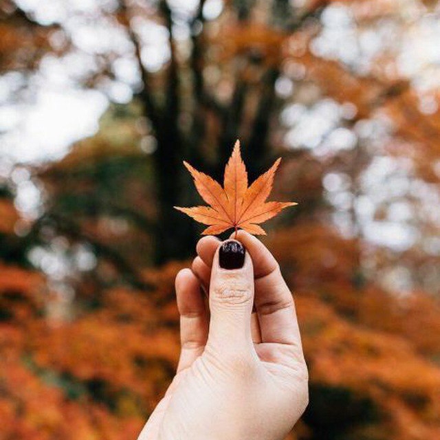 پاییز