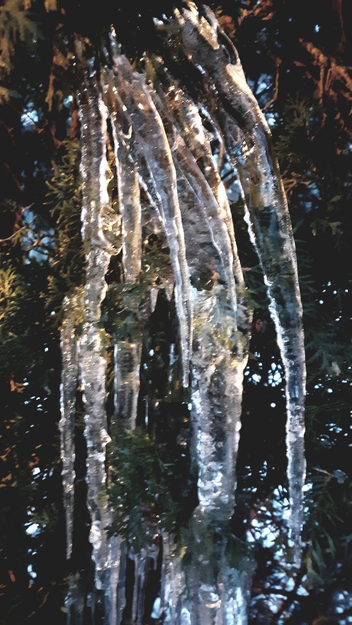 Frozen