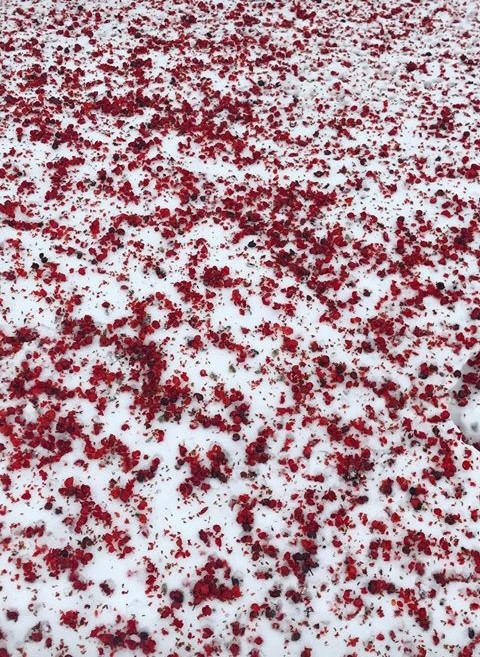 winter