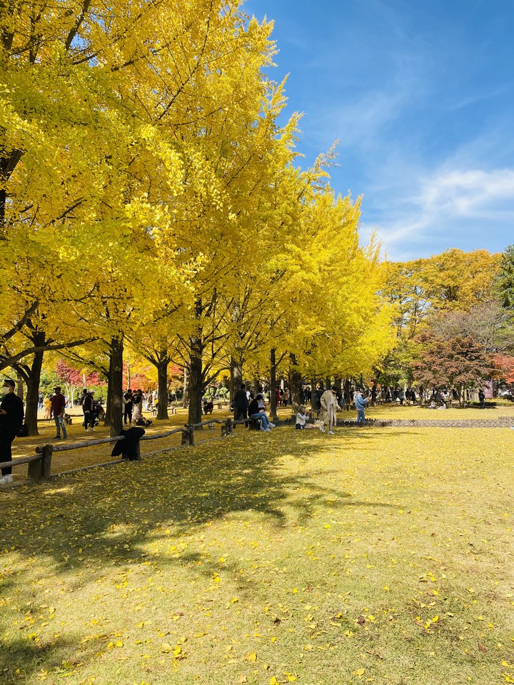 autumn