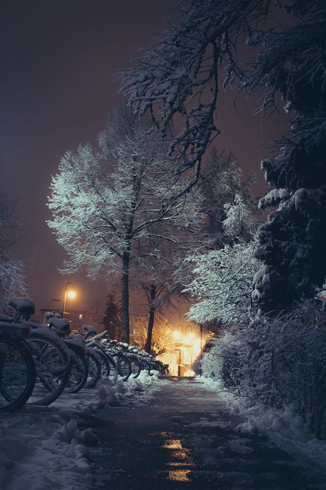 night city