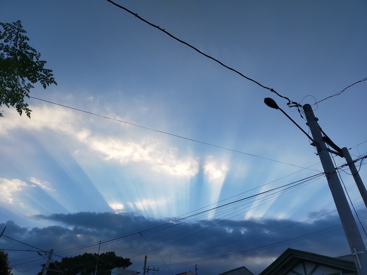 Rays of Sun