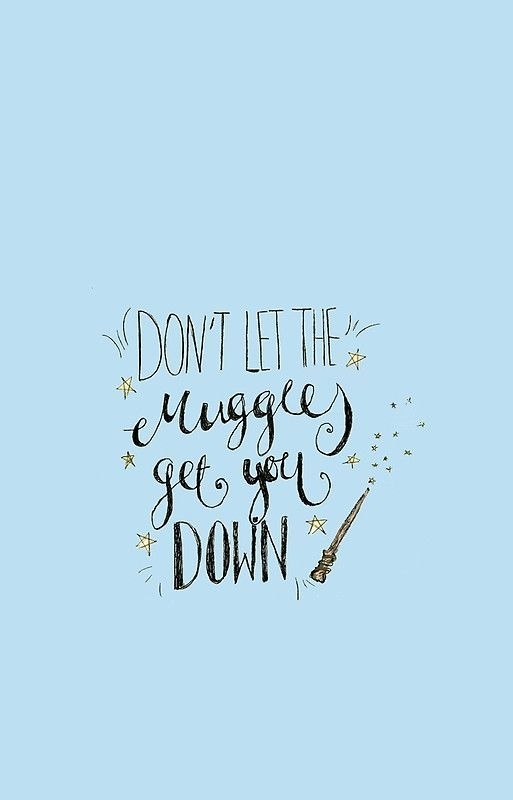 DontLetTheMugglesGetYouDown